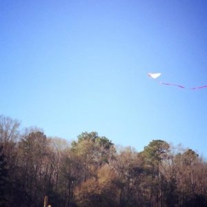 Kite Flying Jamboree