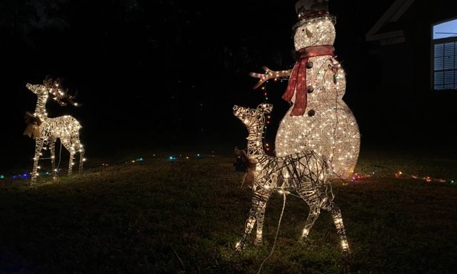 Snowman of lights behind deer of lights with another deer far to the left Cruising for Christmas Lights